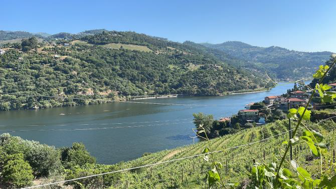 Terroir